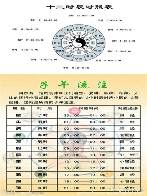 巳未|天支地支 十二时辰对照表